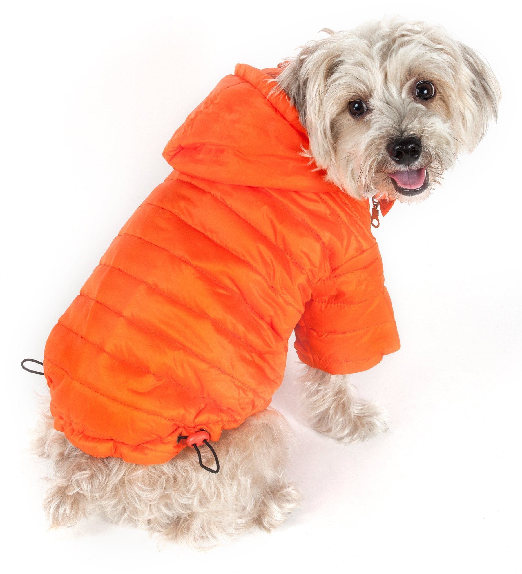 Pet Life ® Lightweight Adjustable and Collapsible 'Sporty Avalanche' Dog Coat w/ Pop-out Zippered Hood  