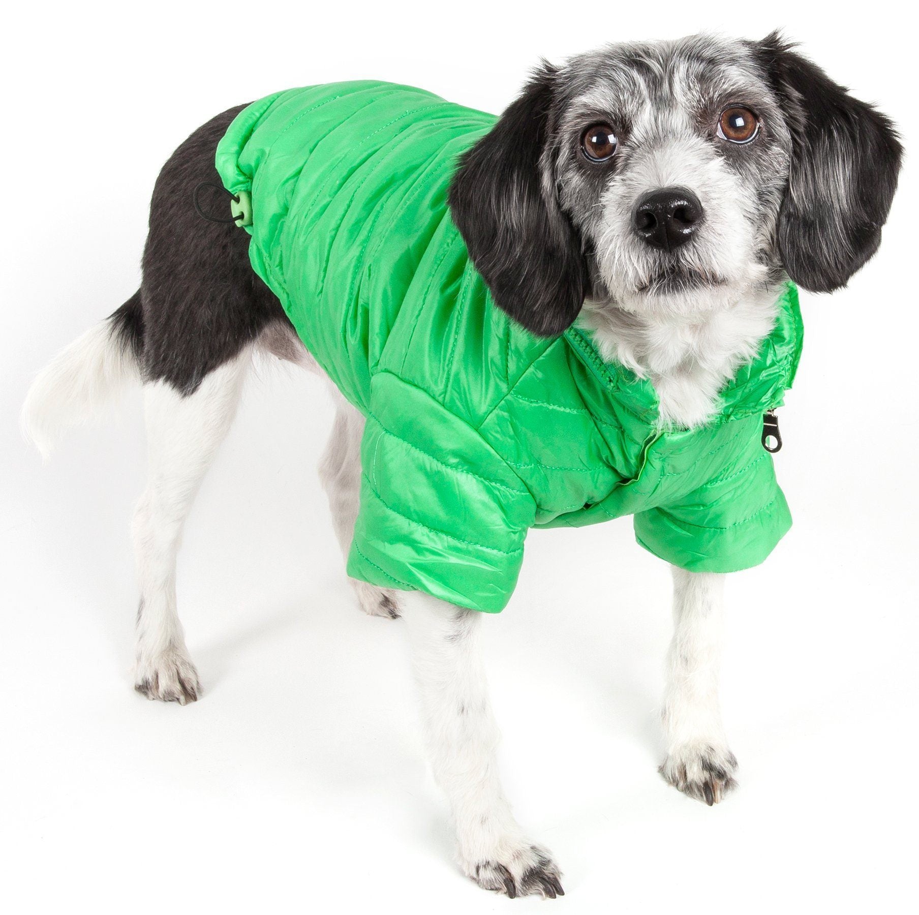 Pet Life ® Lightweight Adjustable and Collapsible 'Sporty Avalanche' Dog Coat w/ Pop-out Zippered Hood X-Small Mint Green