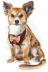 Pet Life ® Luxe 'Dapperbone' 2-In-1 Adjustable Fashion Dog Harness and Leash X-Small 