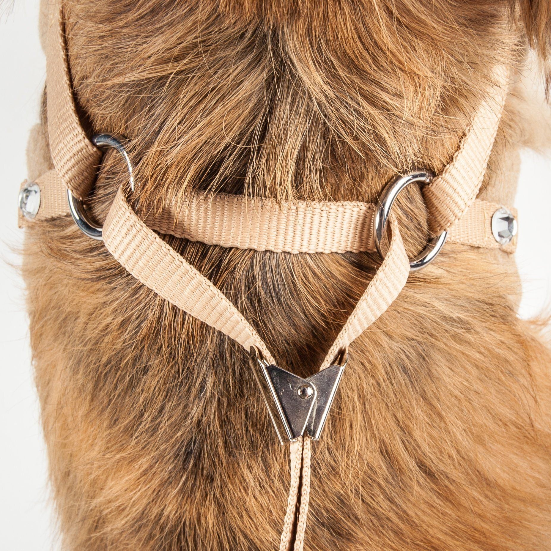 Pet Life ® Luxe 'Furracious' 2-In-1 Adjustable Dog Harness and Leash with Detachable Fur Collar  