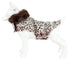 Pet Life ® Luxe 'Furracious' Cheetah Patterned Mink Designer Fashion Fur Dog Coat  
