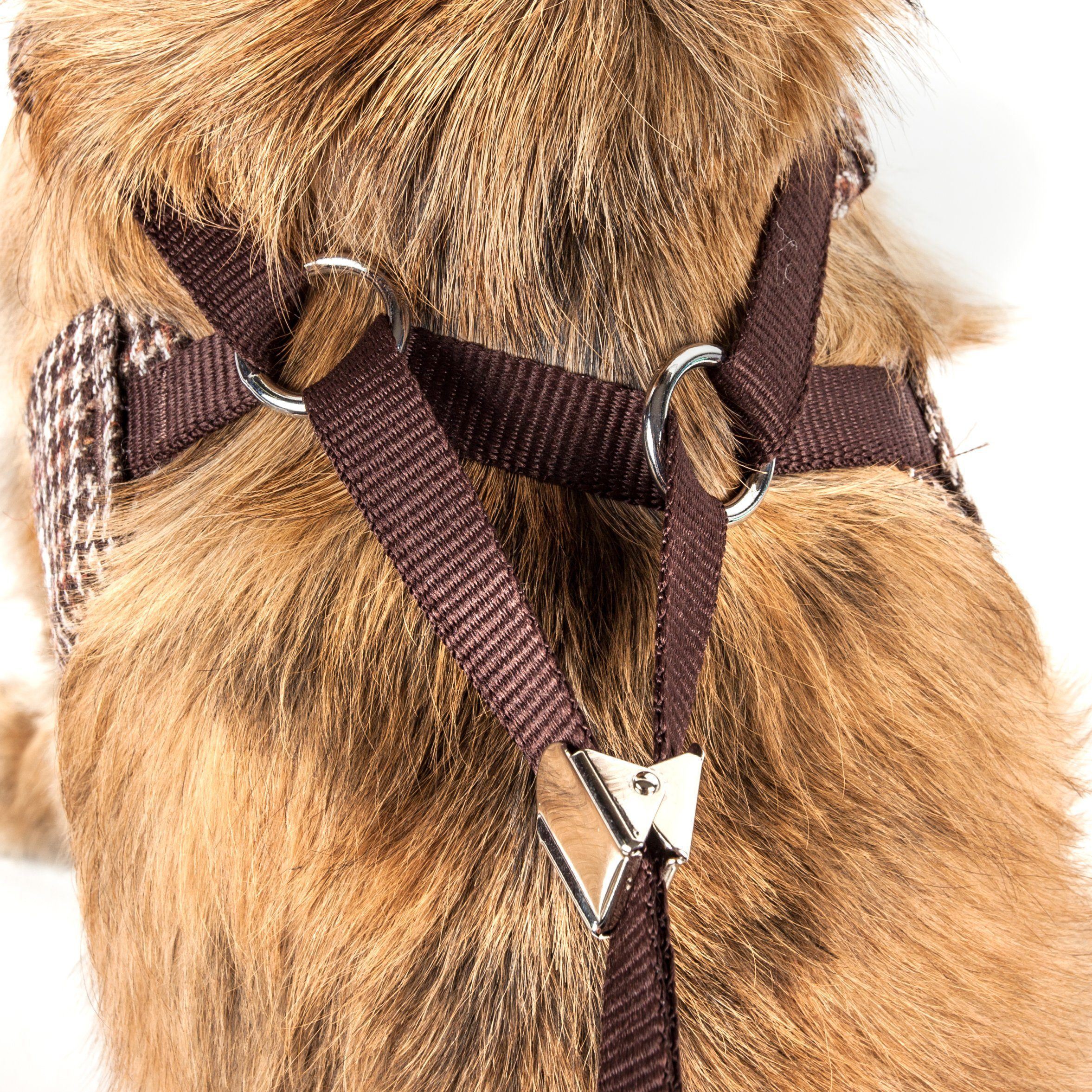 Pet Life ®  Luxe 'Houndsome' 2-In-1 Adjustable Designer Dog Harness and Leash  