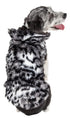 Pet Life ®  Luxe 'Paw Dropping' Designer Gray-Scale Tiger Pattern Mink Fur Dog Coat  