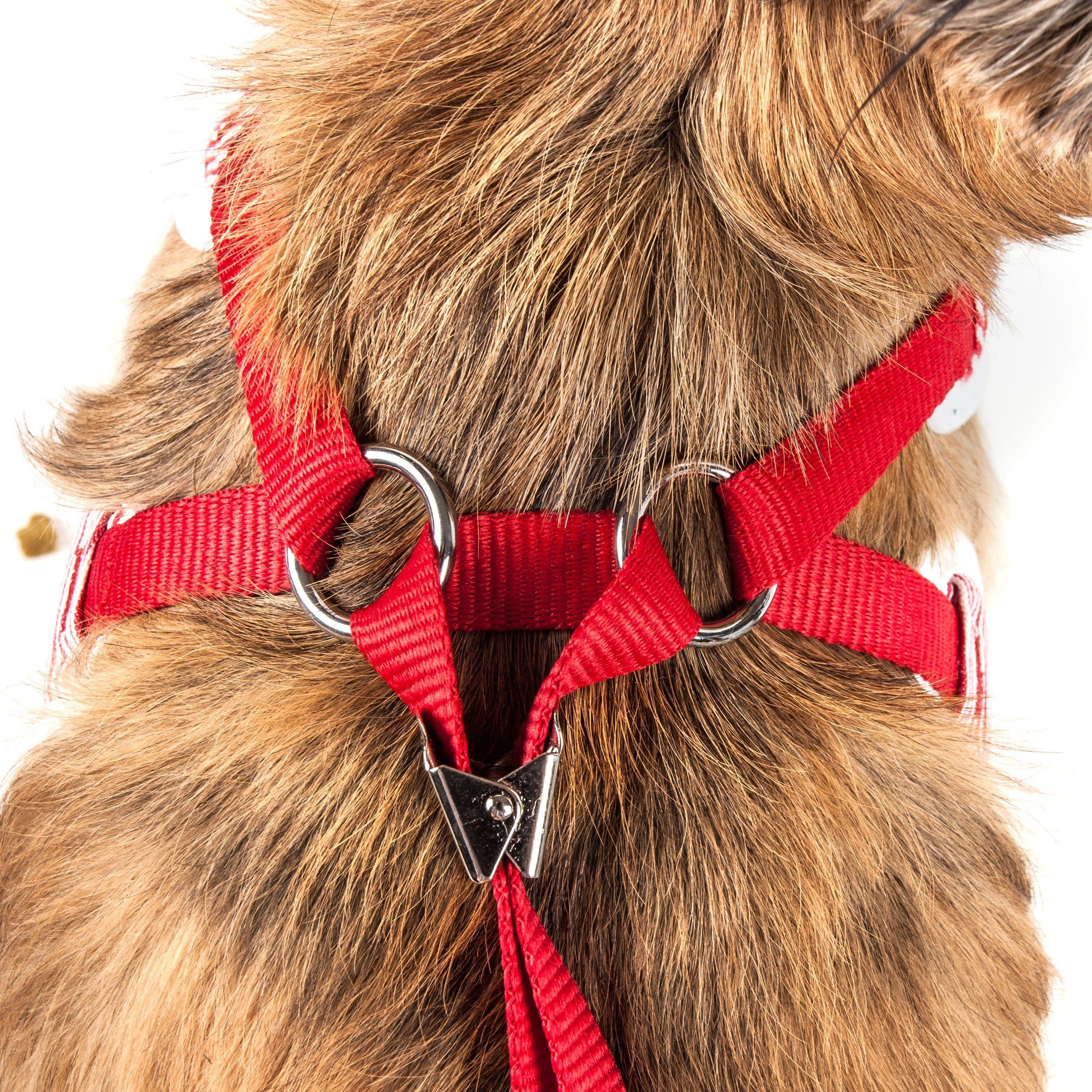 Pet Life ® Luxe 'Spawling' 2-In-1 Adjustable Fashion Dog Harness and Leash  