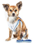 Pet Life ® Luxe 'Spawling' 2-In-1 Adjustable Fashion Dog Harness and Leash X-Small Blue