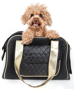 Black and Gray Designer Dog Carrier Bag for Small Dog Bag 