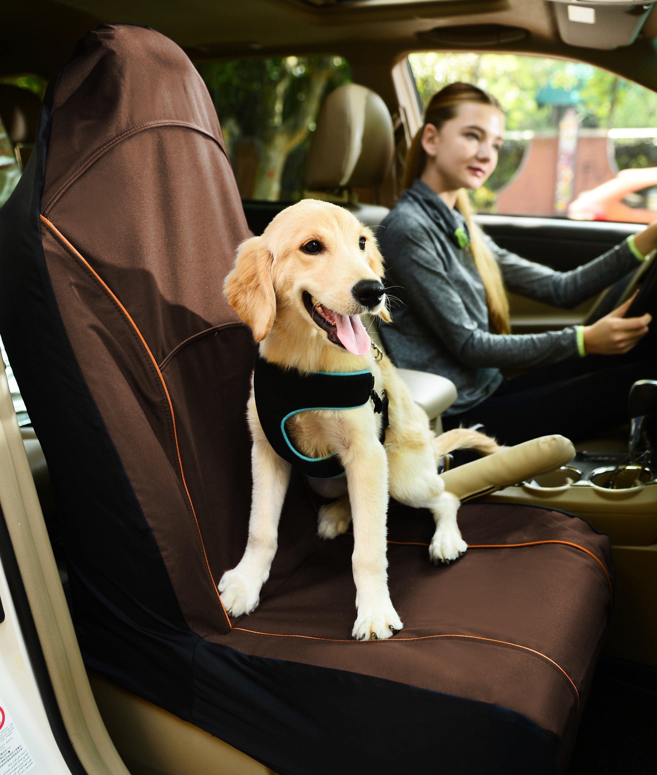 Pet Life ® 'Open Road' Single Seated Safety Child Pet Cat Dog Car Seat Carseat Cover Protector Brown 