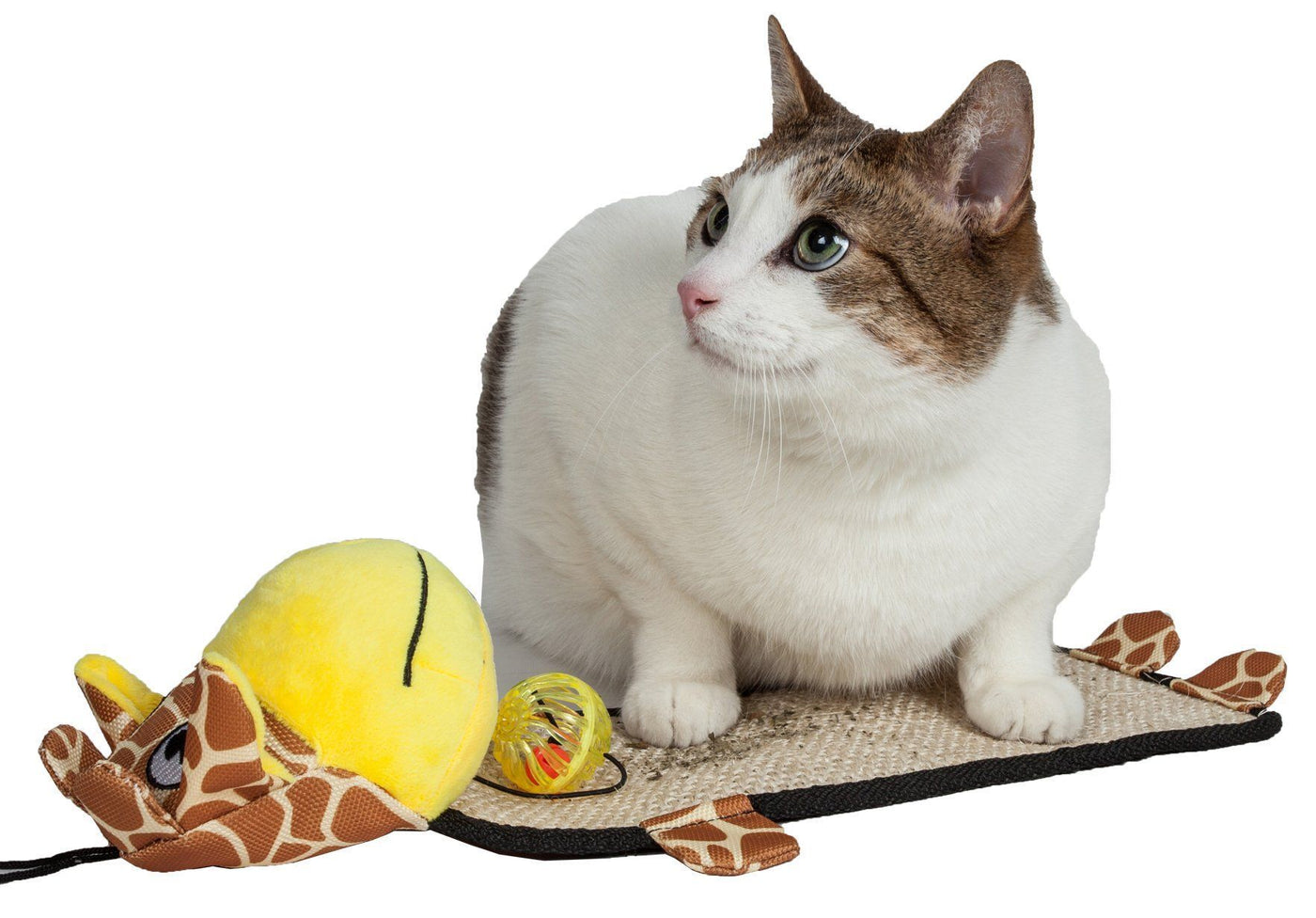 https://shop.petlife.com/cdn/shop/products/pet-life-r-paw-pleasant-hanging-sisal-jute-carpet-kitty-cat-scratcher-with-toy-184036_1400x.jpg?v=1573776589