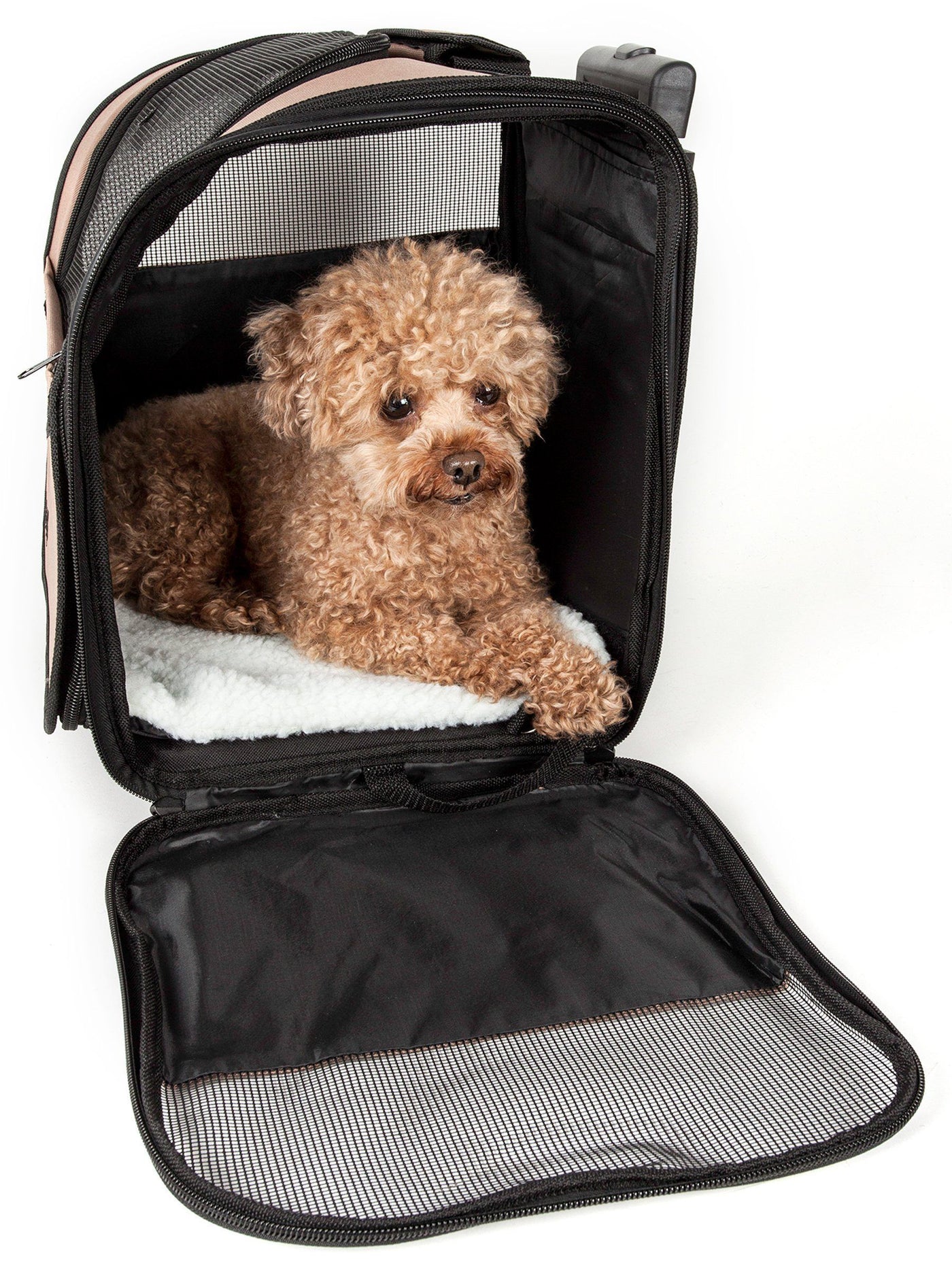 https://shop.petlife.com/cdn/shop/products/pet-life-r-pawdon-me-wheeled-airline-approved-travel-collapsible-pet-dog-carrier-350781_1400x.jpg?v=1573787394