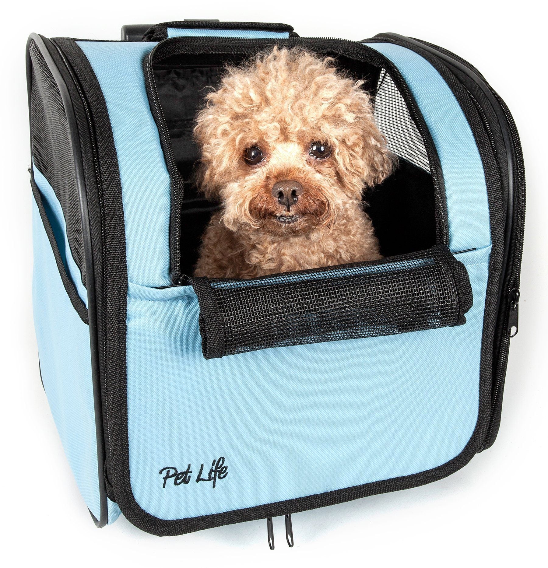 Pet Life ® 'Pawdon Me '  Wheeled Airline Approved Travel Collapsible Pet Dog Carrier  