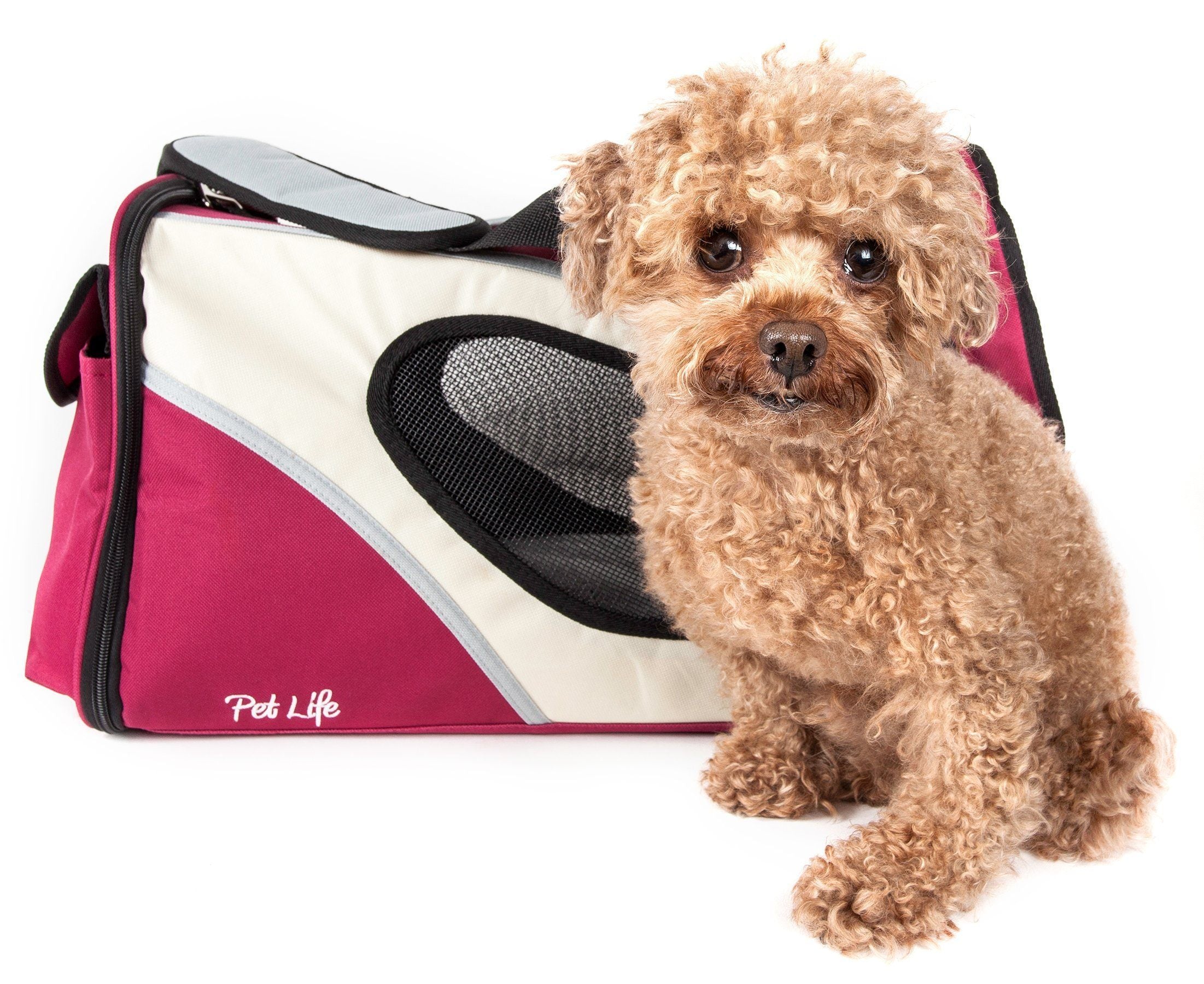 Pet Life ® 'Phenom-Air' Airline Approved Collapsible Fashion Designer Pet Dog Carrier Red, White 