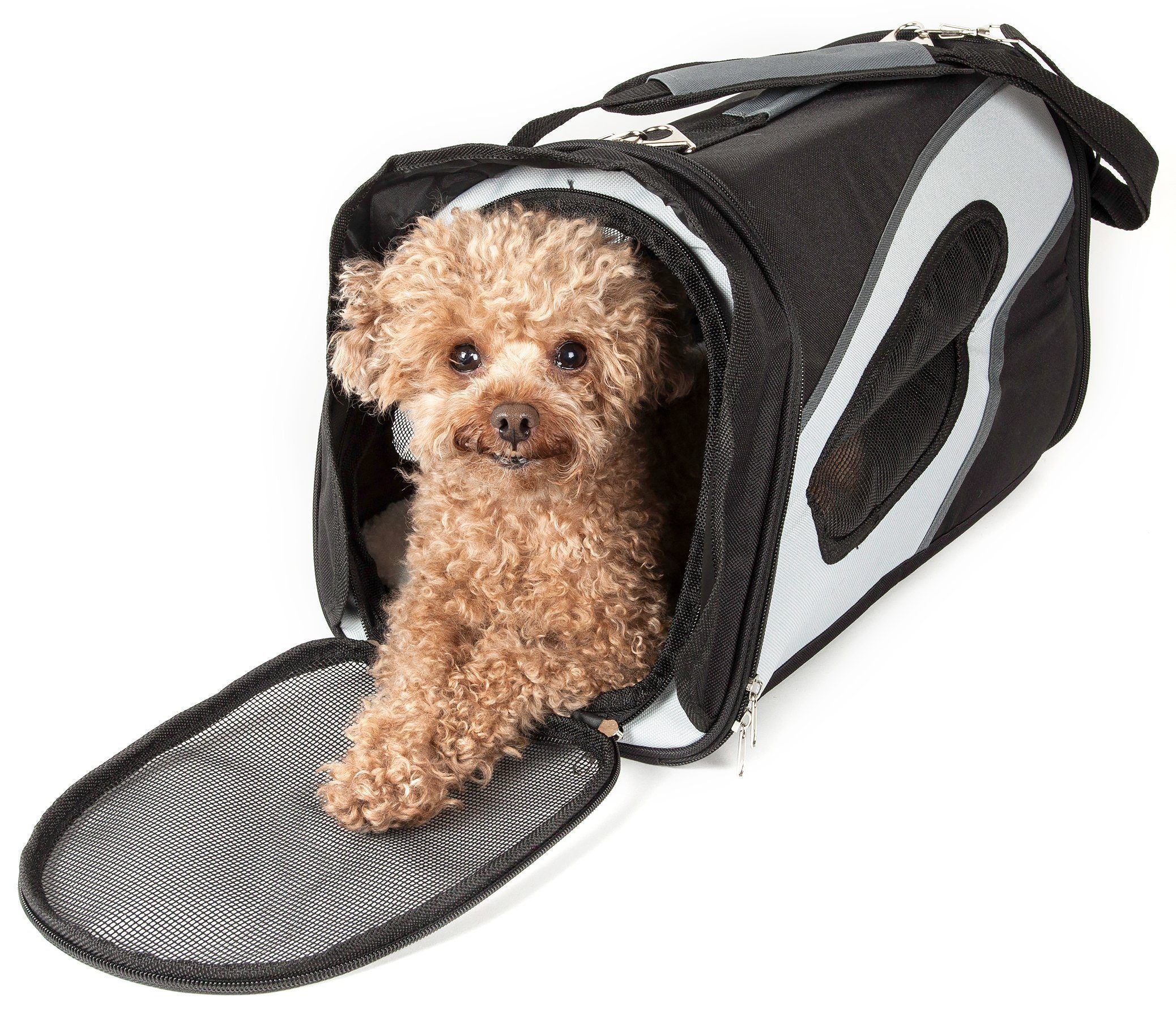 Pet Life ® 'Phenom-Air' Airline Approved Collapsible Fashion Designer Pet Dog Carrier  