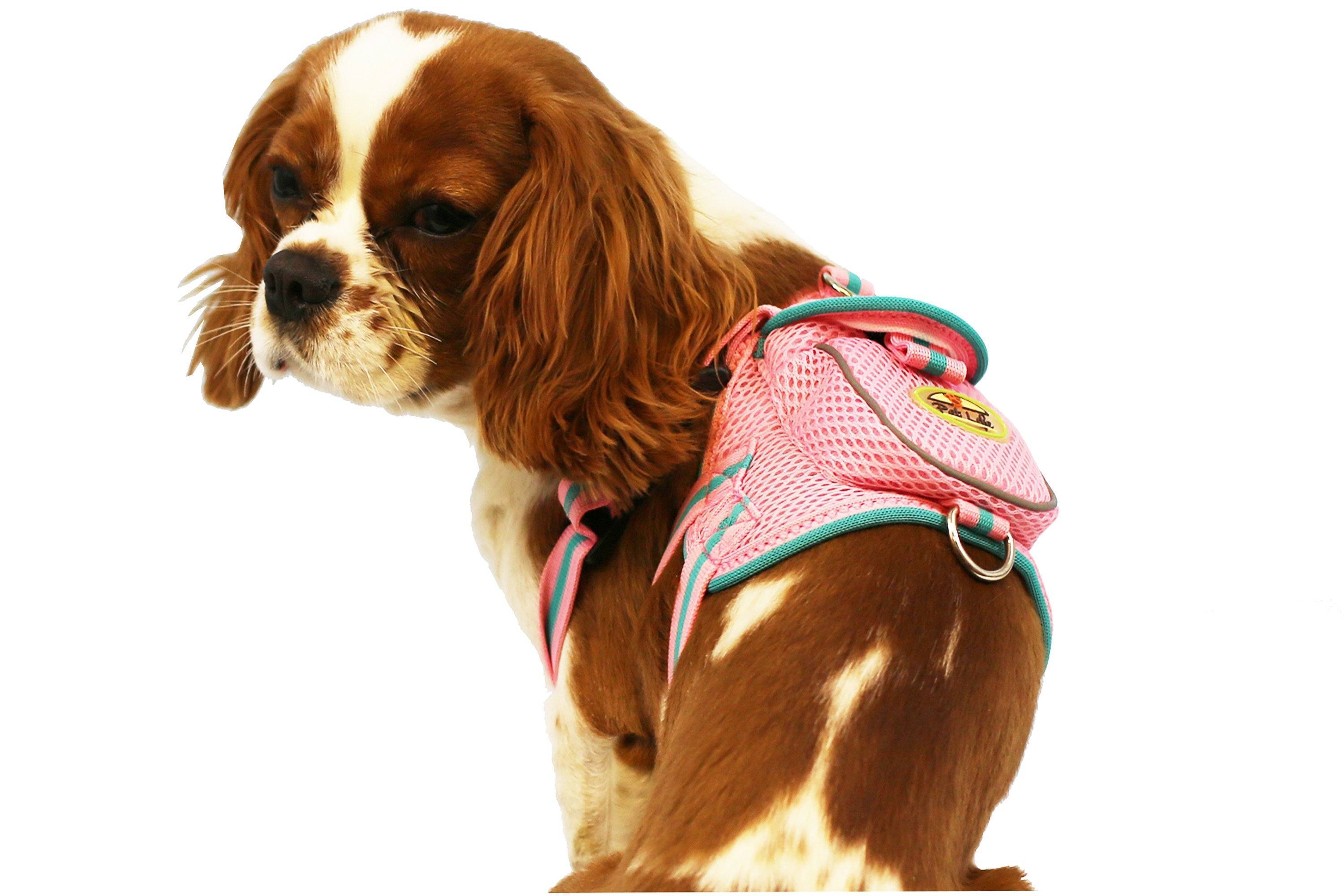 Pet Life ® 'Pocket Bark' Reflective Adjustable Fashion Pet Dog Harness w/ Hook-and-Loop Pouch and Dual Harness Rings  