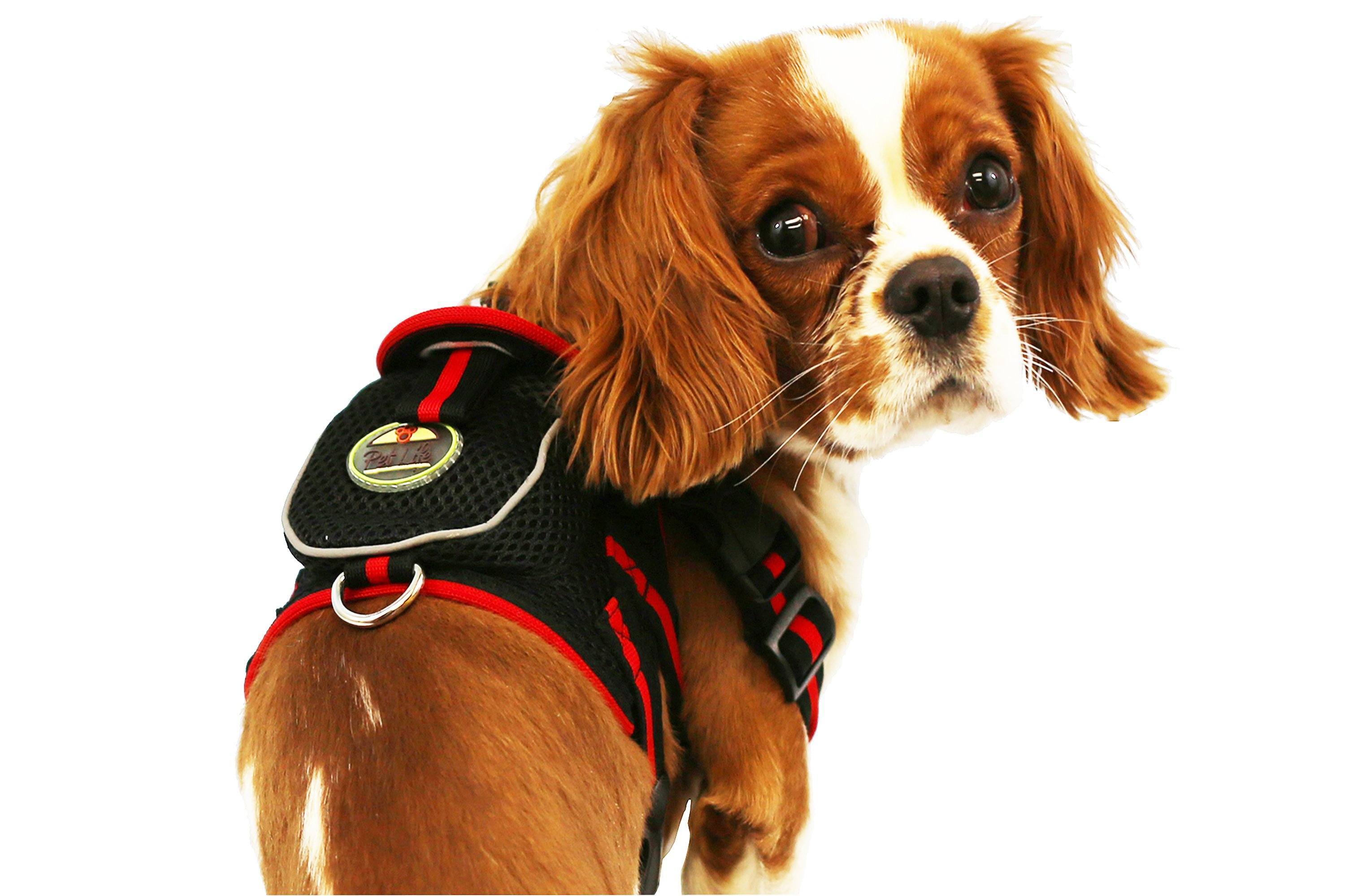 Pet Life ® 'Pocket Bark' Reflective Adjustable Fashion Pet Dog Harness w/ Hook-and-Loop Pouch and Dual Harness Rings  