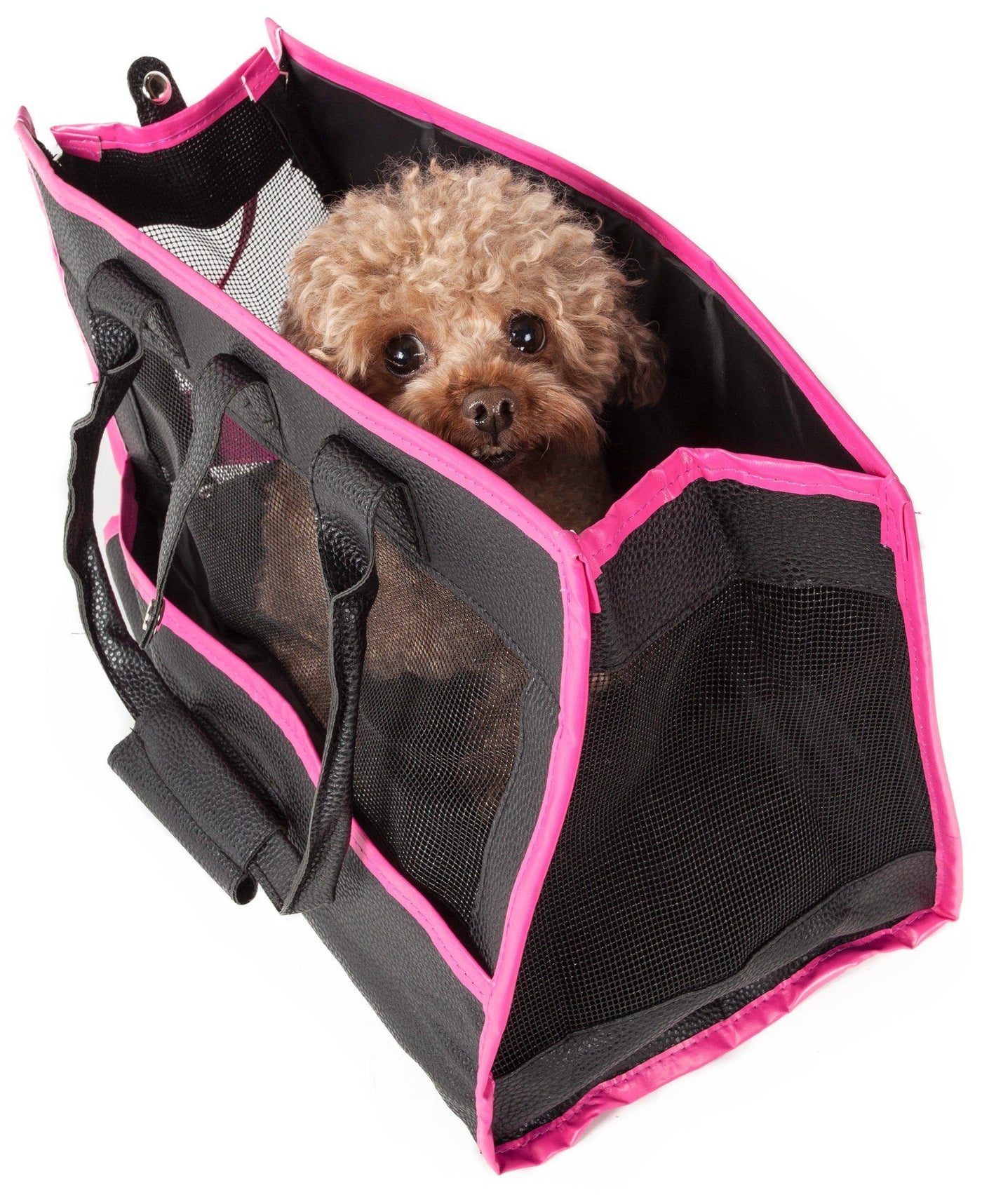 Pet Life Posh Paw Fashion Pet Carrier Purse - Designer Dog Carrier with  Built-in Leash Securer