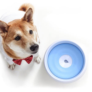 Floater bowl for outlet dogs