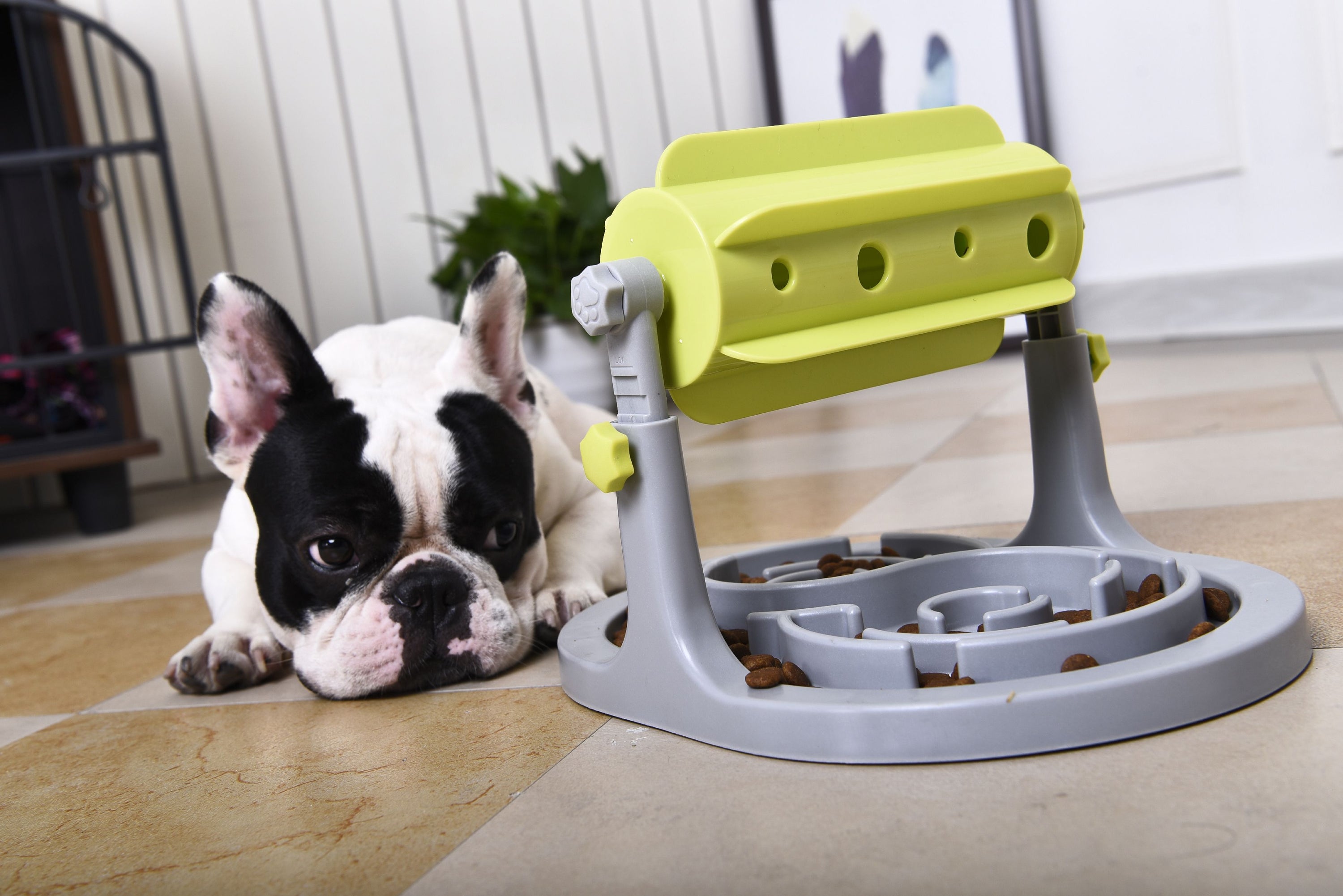 Pet Life ® 'Roto Paw' IQ Training Interactive Rotating Slow Dog Feeder  