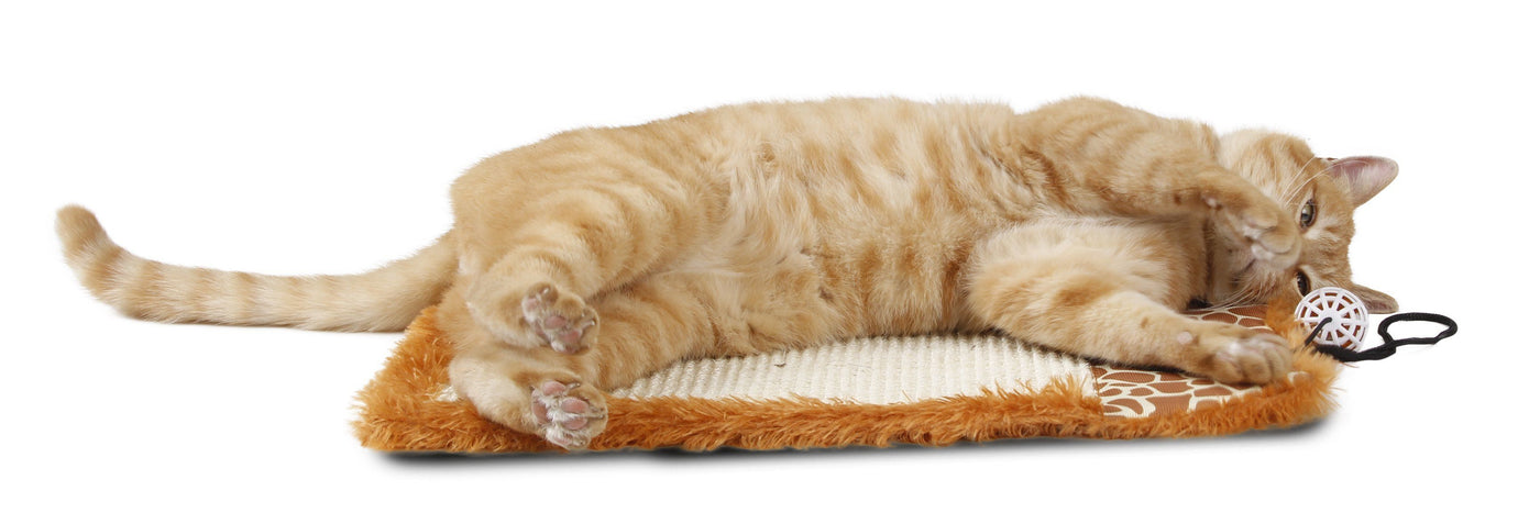 https://shop.petlife.com/cdn/shop/products/pet-life-r-scrape-away-hanging-sisal-jute-carpet-kitty-cat-scratcher-with-toy-102682_1400x.jpg?v=1573789218