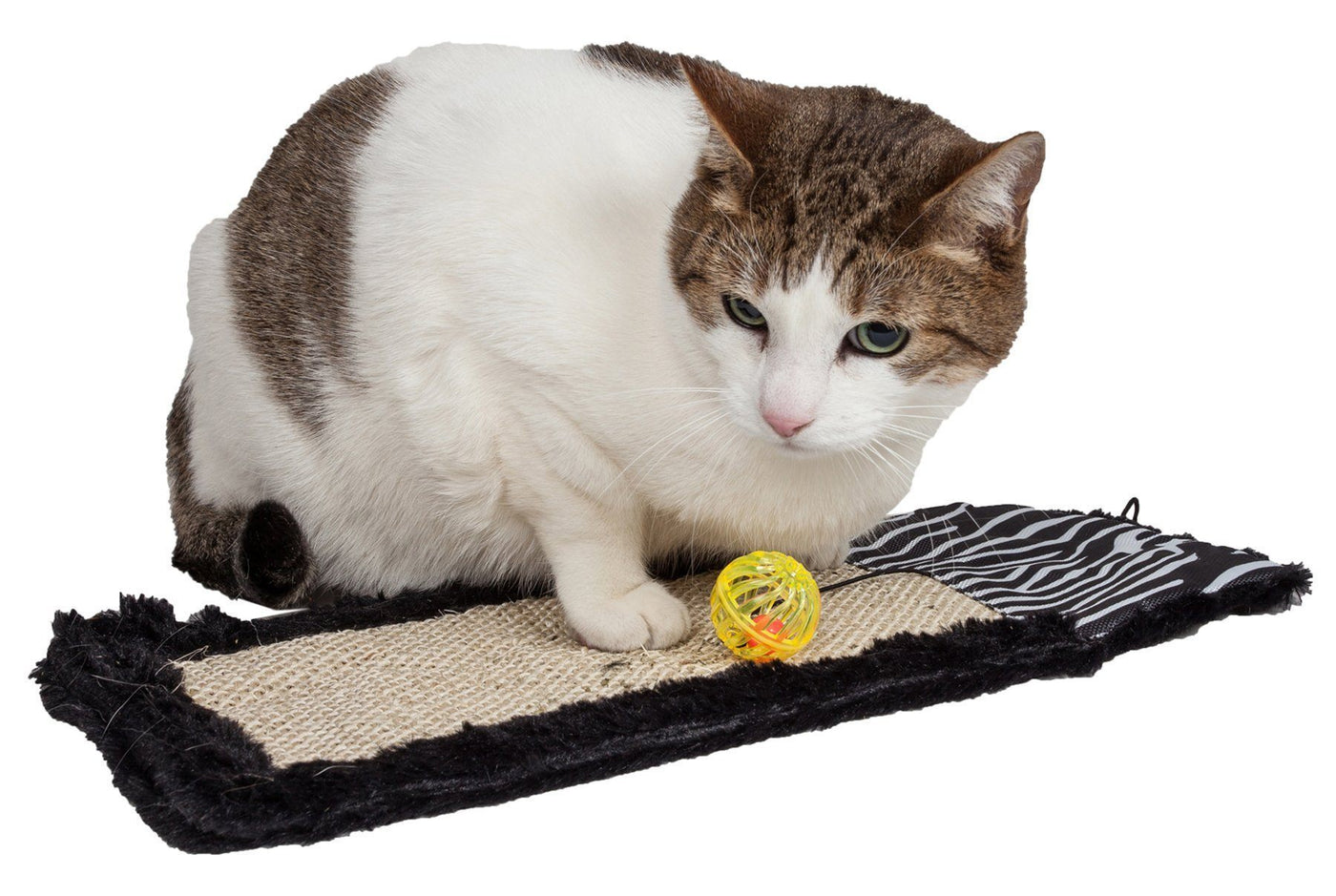 https://shop.petlife.com/cdn/shop/products/pet-life-r-scrape-away-hanging-sisal-jute-carpet-kitty-cat-scratcher-with-toy-283259_1400x.jpg?v=1573789995
