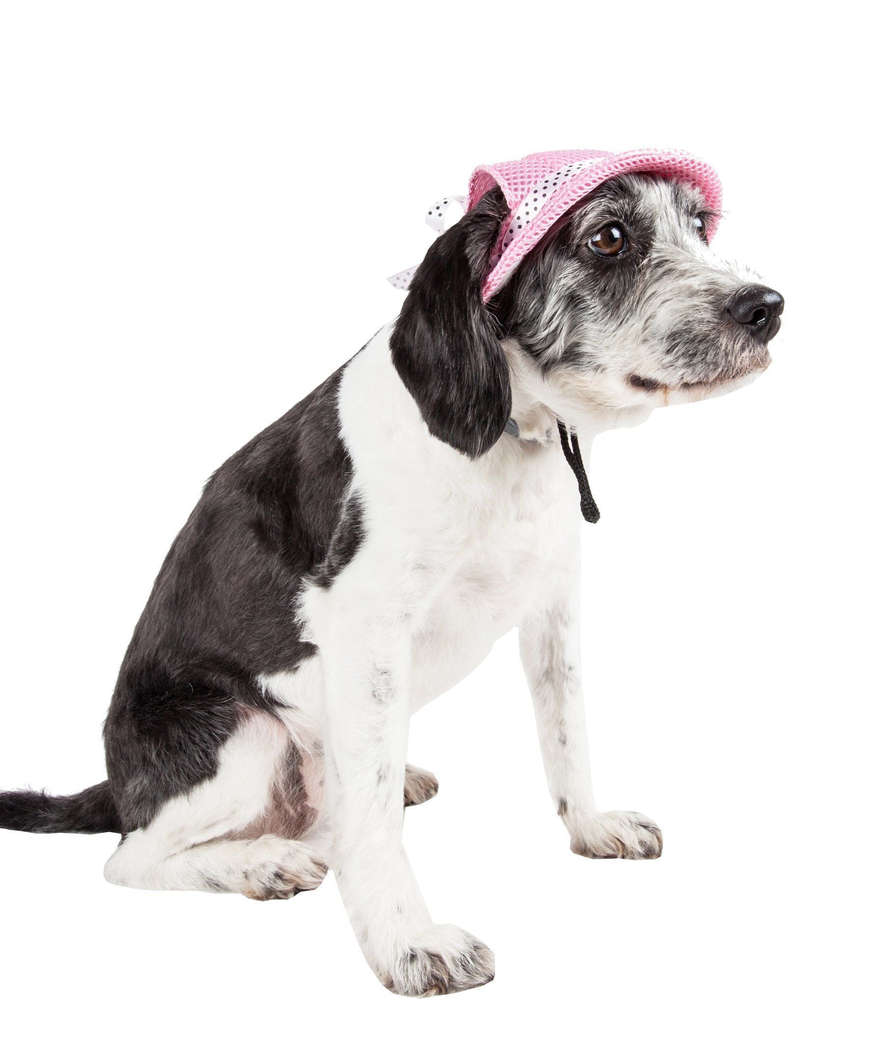 Pet Life ®  'Sea Spot Sun' UV Protectant Adjustable Fashion Mesh Brimmed Dog Hat Cap  