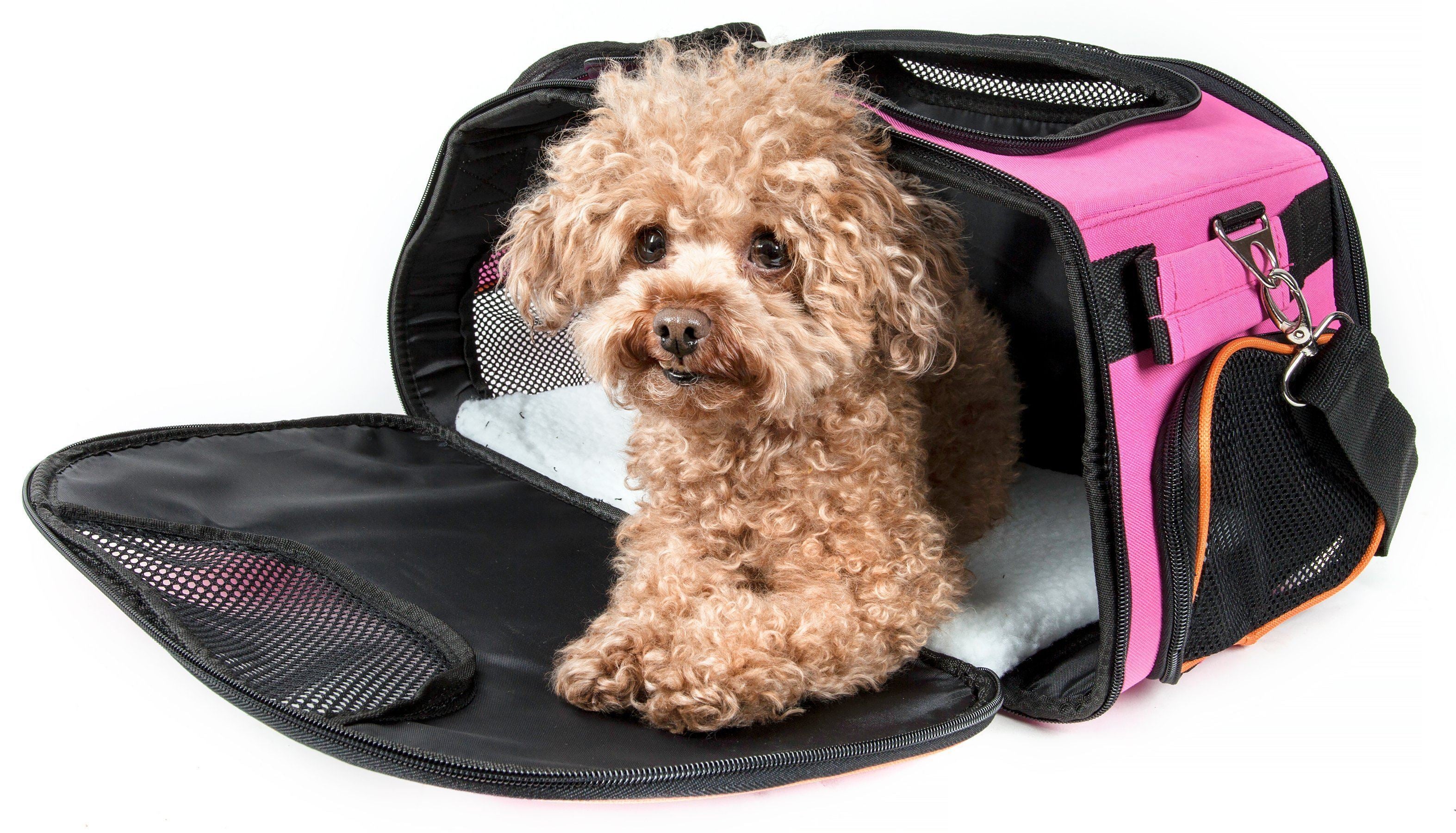 Pet Life ® 'Sky-Max' Airline Approved Designer Sporty Collapsible Travel Fashion Pet Dog Carrier  