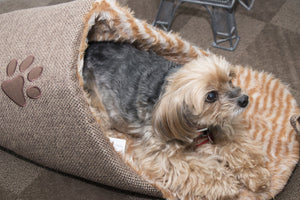 Pet Life ® 'Slip-On' Fashion Designer Polar Fleece Animated Slipper Pet Dog Bed House S...