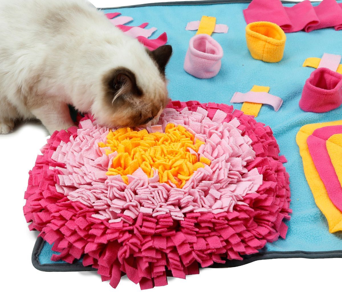 Snuffle Mat for Cats! #cats 