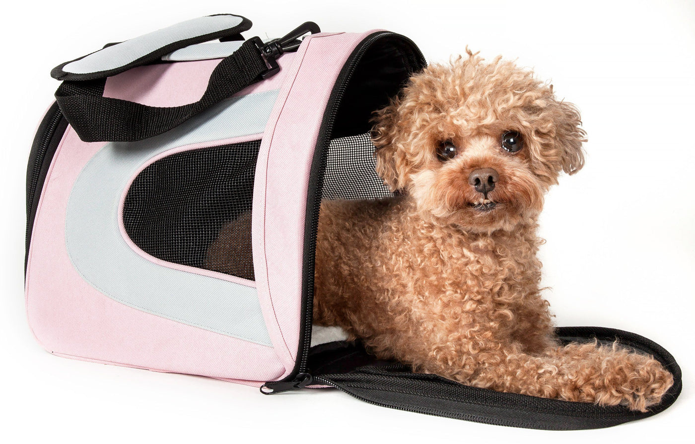Pet Soft Sided Dog Cat Carrier Comfortable Bag Travel Case Airline Approved  Small Size Red Color 