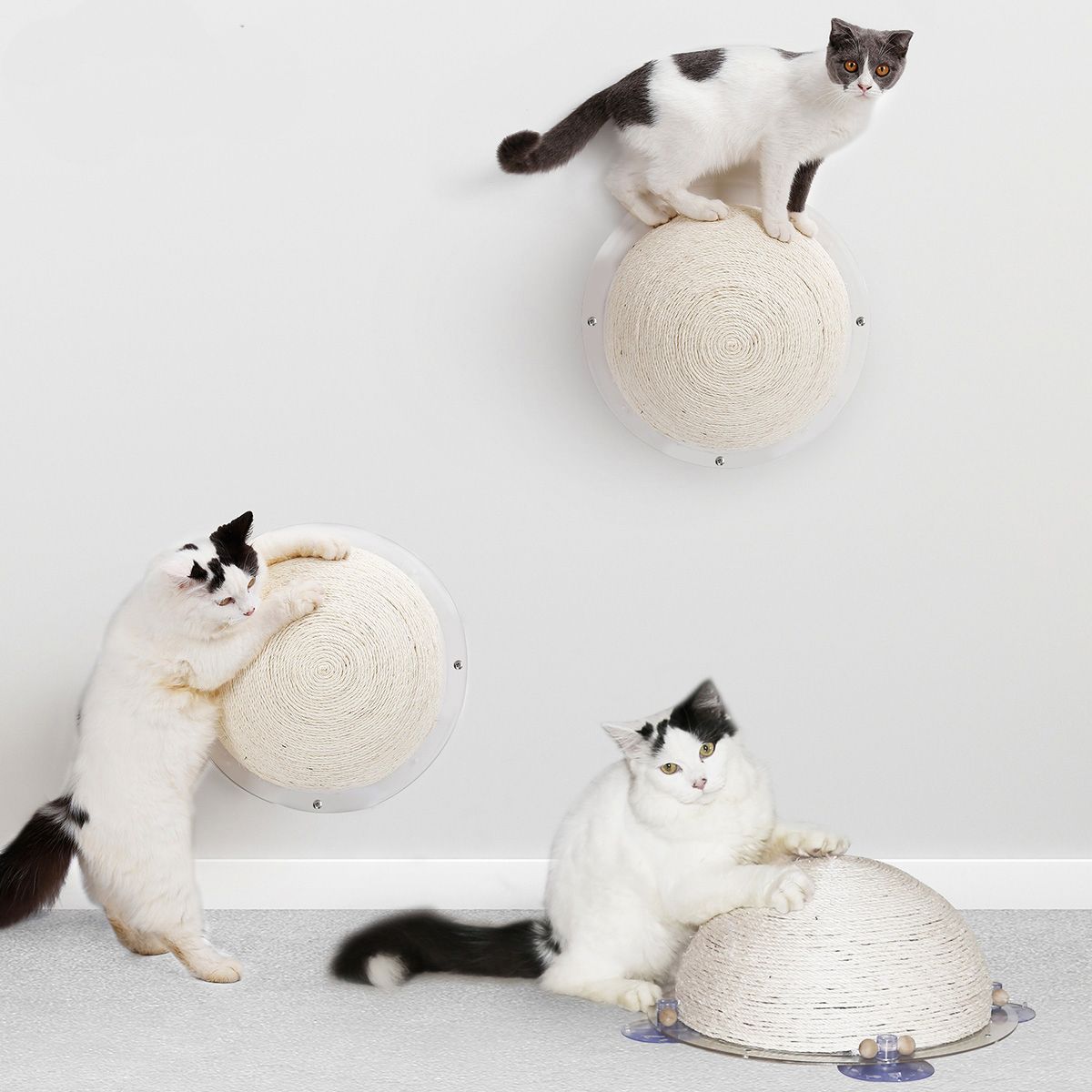 https://shop.petlife.com/cdn/shop/products/pet-life-r-stick-n-claw-sisal-rope-and-toy-suction-cup-circular-cat-scratcher-401318_1400x.jpg?v=1599765900