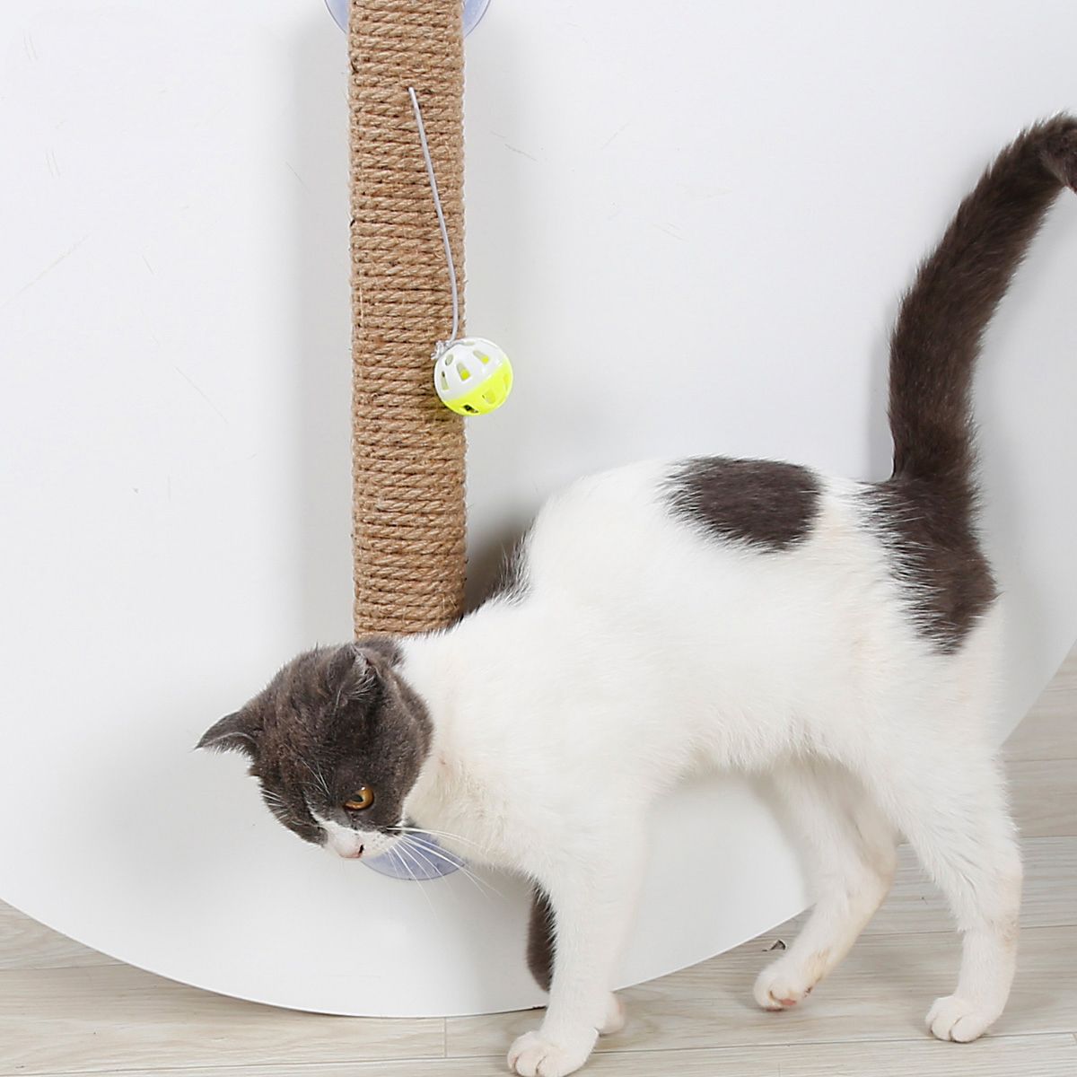 https://shop.petlife.com/cdn/shop/products/pet-life-r-stick-n-claw-sisal-rope-and-toy-suction-cup-stick-shaped-cat-scratcher-167766_1400x.jpg?v=1599768267