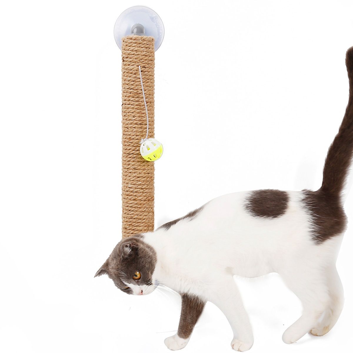 https://shop.petlife.com/cdn/shop/products/pet-life-r-stick-n-claw-sisal-rope-and-toy-suction-cup-stick-shaped-cat-scratcher-675258_1400x.jpg?v=1599771633