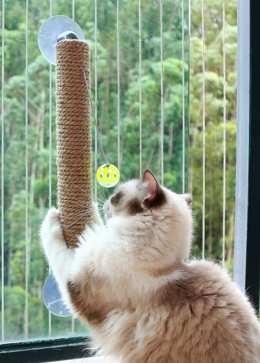https://shop.petlife.com/cdn/shop/products/pet-life-r-stick-n-claw-sisal-rope-and-toy-suction-cup-stick-shaped-cat-scratcher-887777_1400x.jpg?v=1599769816