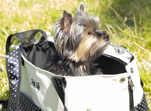 Designer small dog outlet carrier