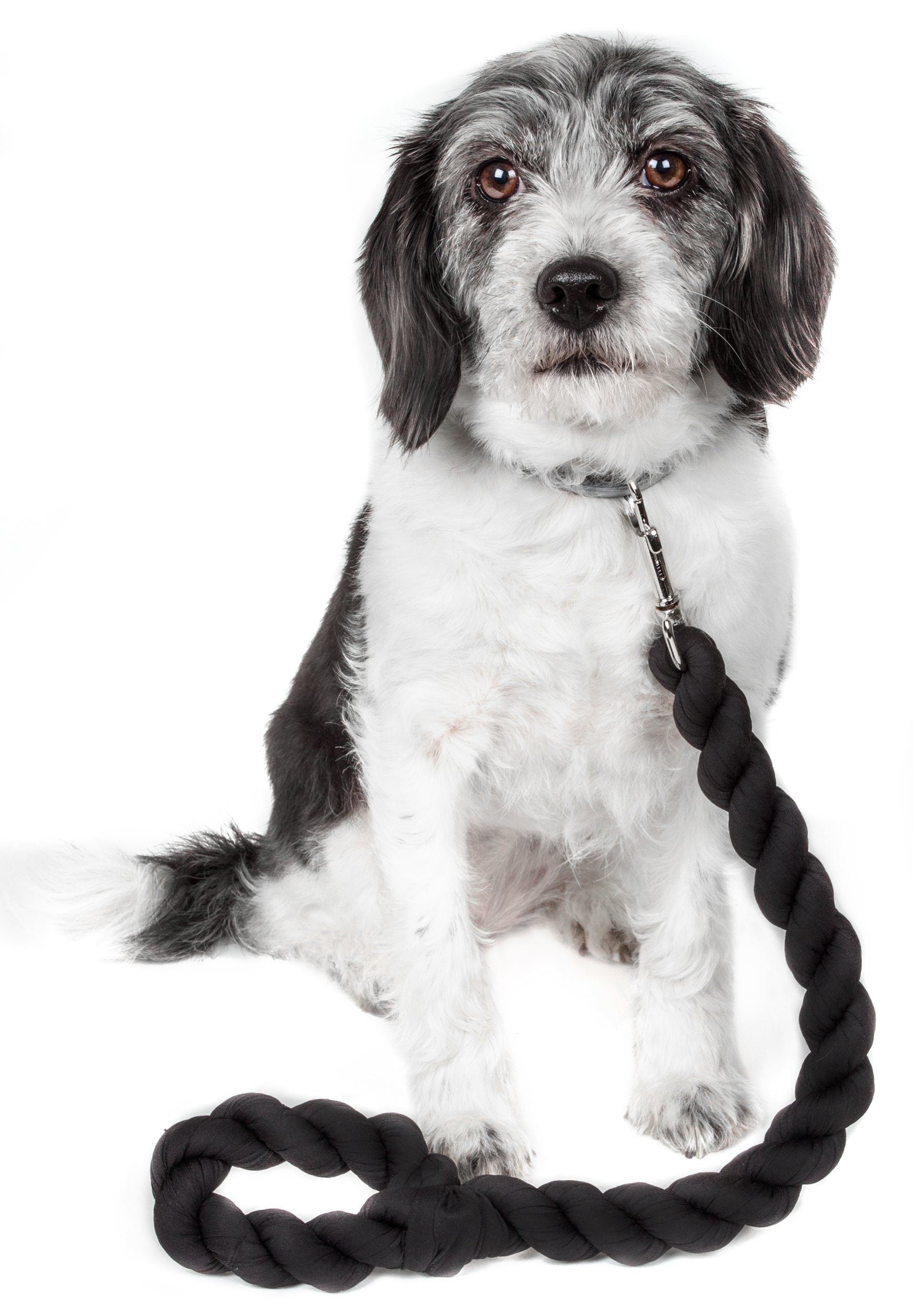 Pet Life ® 'Tough-Tugger' Industrial-Strength Shock Absorption Woven Pet Dog Leash Navy 