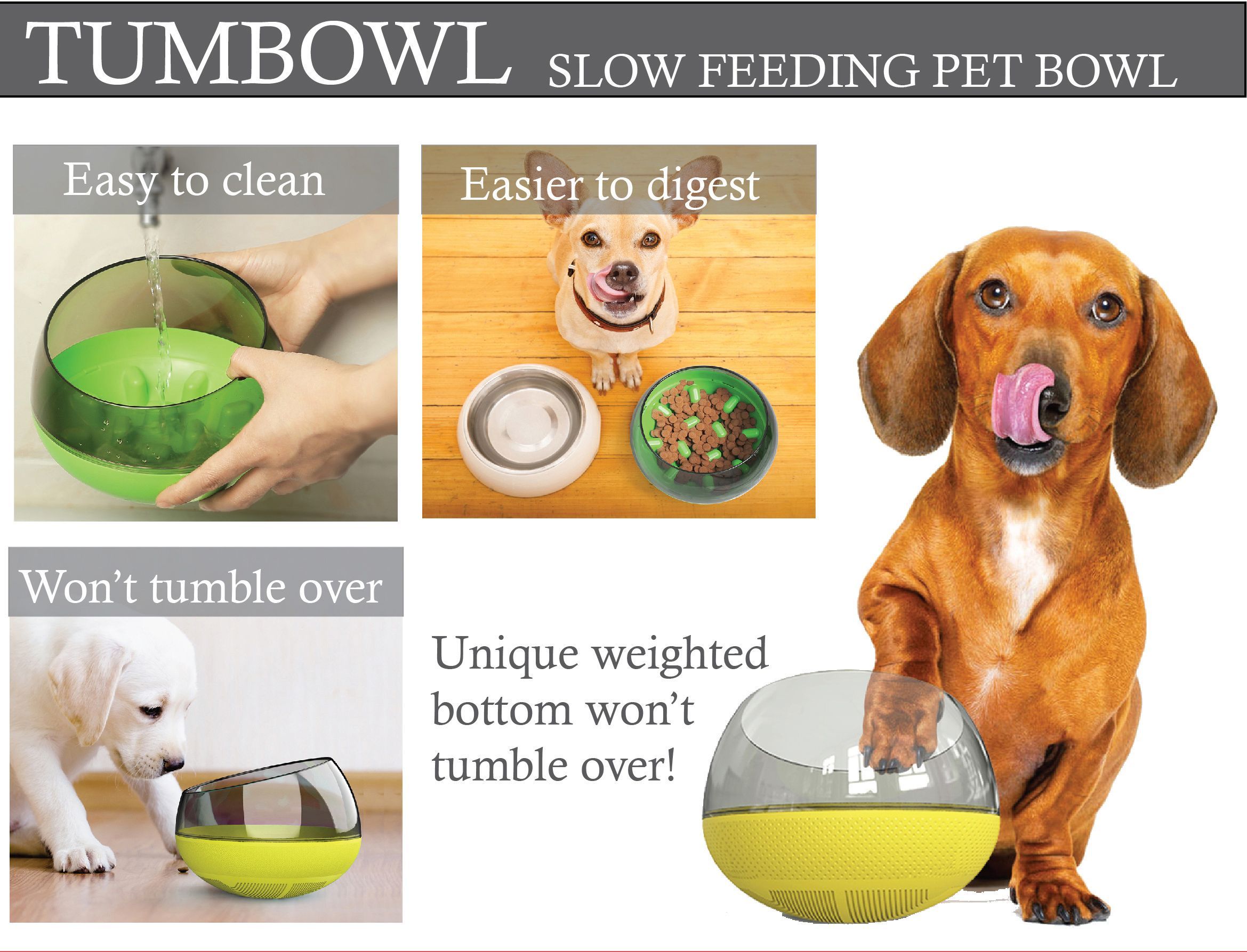 Pet Life ® 'Tumbowl' Slow Feeding Pet Bowl  