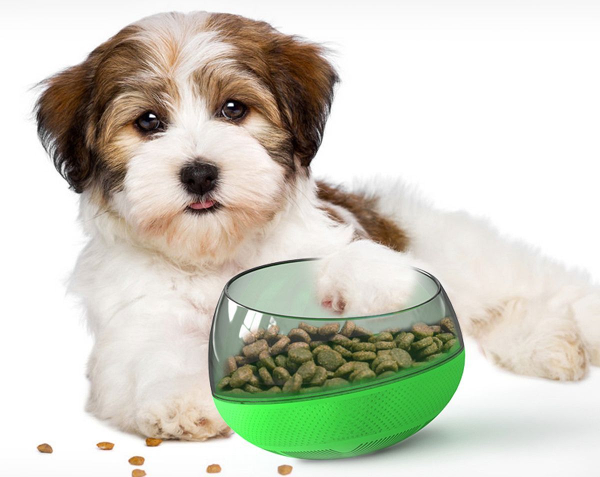 Pet Life ® 'Tumbowl' Slow Feeding Pet Bowl  