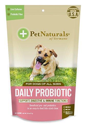 Pet Naturals of Vermont Daily Probiotic Dog Supplements - 60 ct Pouch  