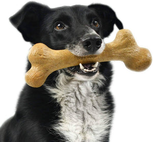 https://shop.petlife.com/cdn/shop/products/pet-qwerks-made-in-the-usa-dinosaur-barkbone-peanut-butter-wood-natural-dog-chews-extra-large-343030_300x.jpg?v=1674497083