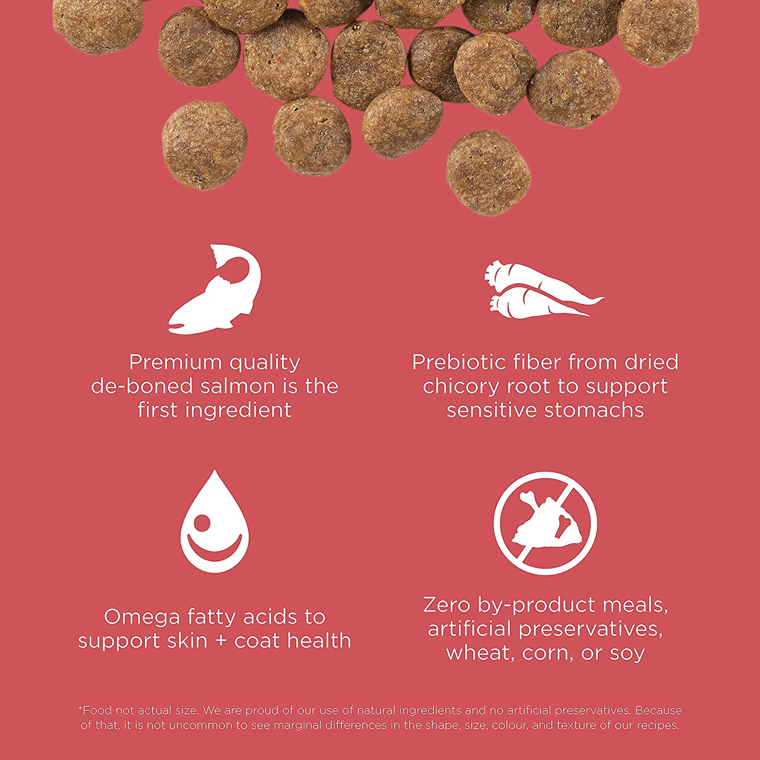 Petcurean GO! Sensitivities LID Grain-Free Salmon Recipe Dry Dog Food - 12 lb Bag  