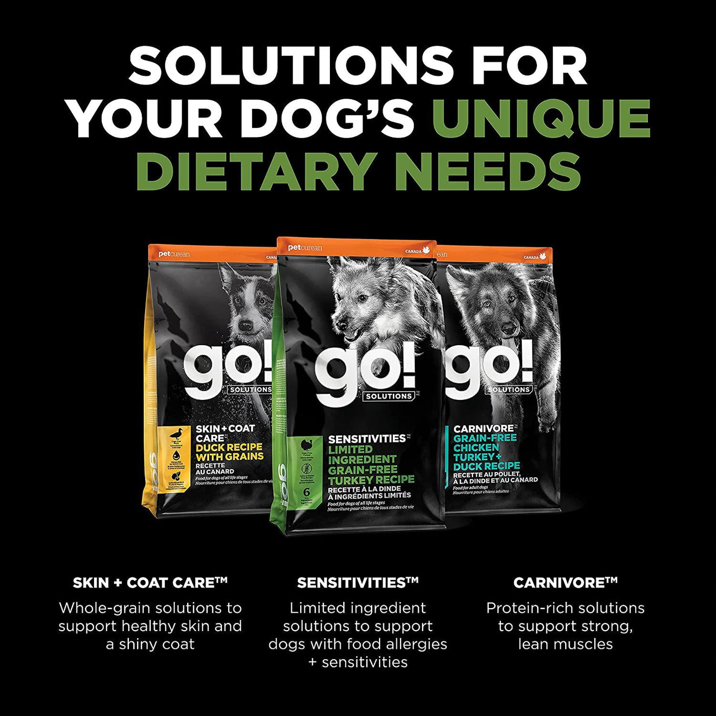 Go turkey dog outlet food