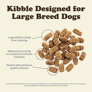 Dog food with big kibble sale