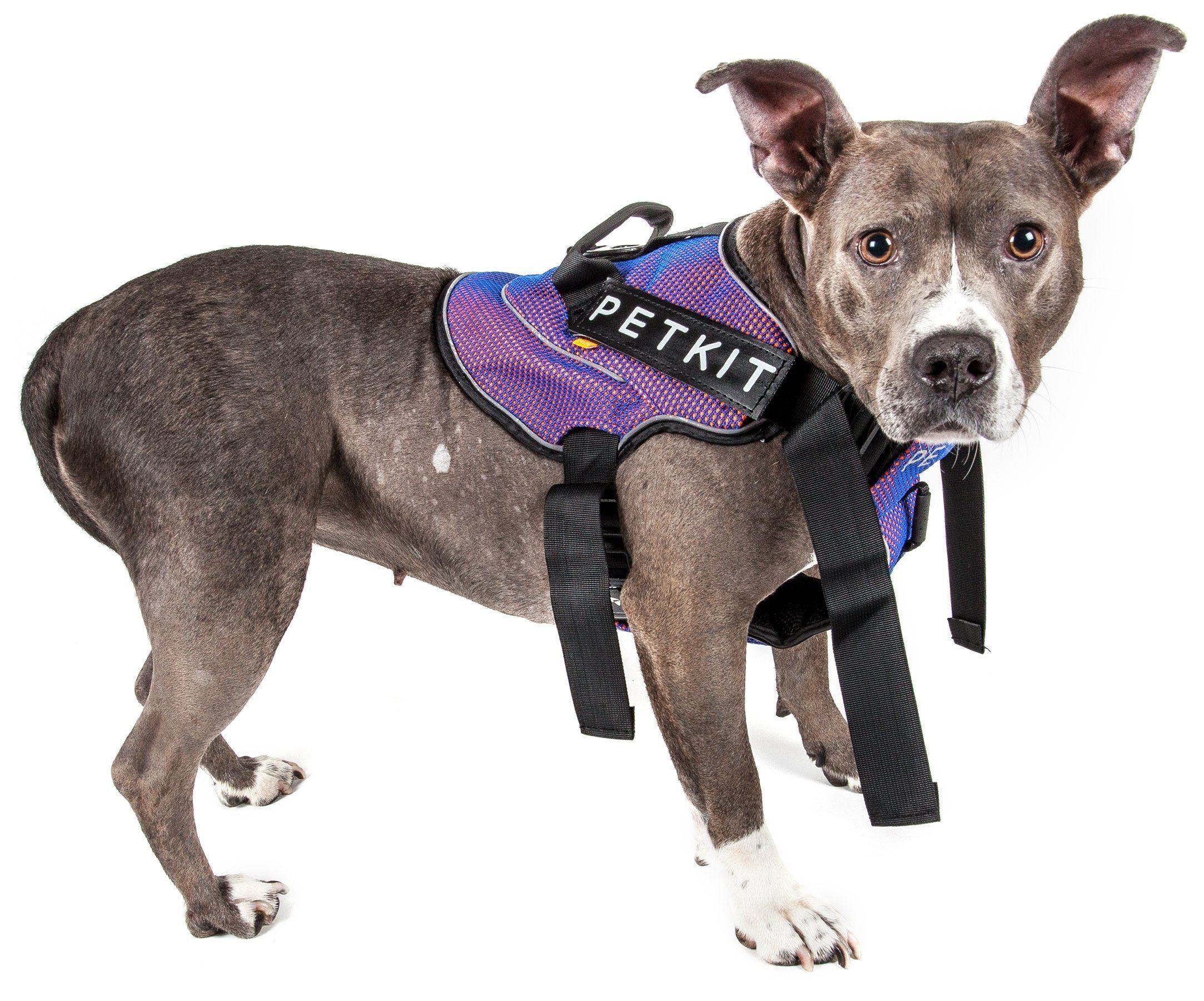 PETKIT ® 'AIR' Quad-Connecting Cushioned Chest Compression and Reflective Breathable Premium Safety Mesh Pet Dog Harness  