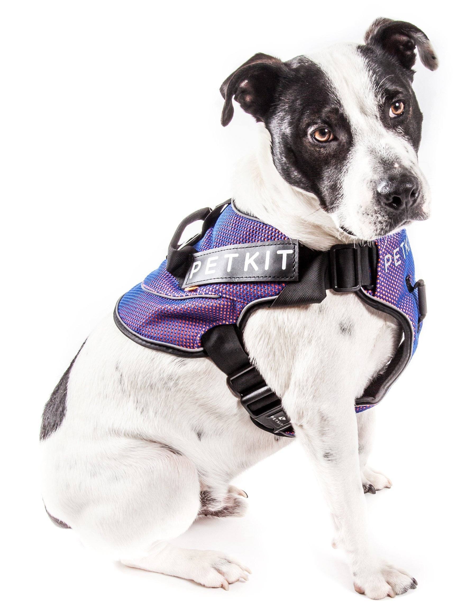 PETKIT ® 'AIR' Quad-Connecting Cushioned Chest Compression and Reflective Breathable Premium Safety Mesh Pet Dog Harness  