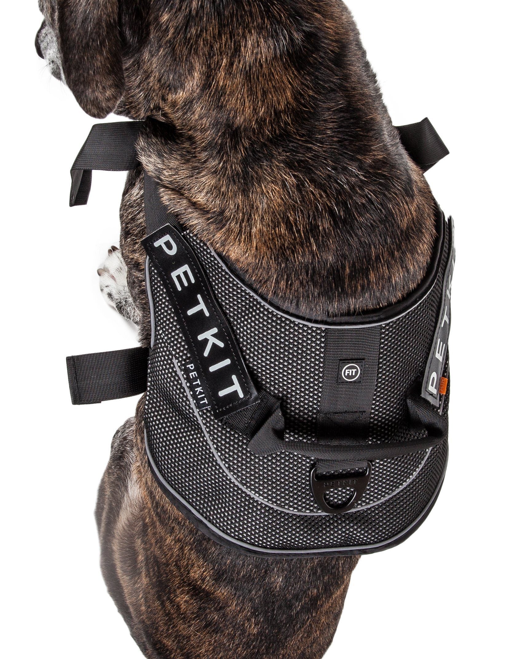 PETKIT ® 'AIR' Quad-Connecting Cushioned Chest Compression and Reflective Breathable Premium Safety Mesh Pet Dog Harness  