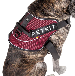 Dog hotsell chest leash