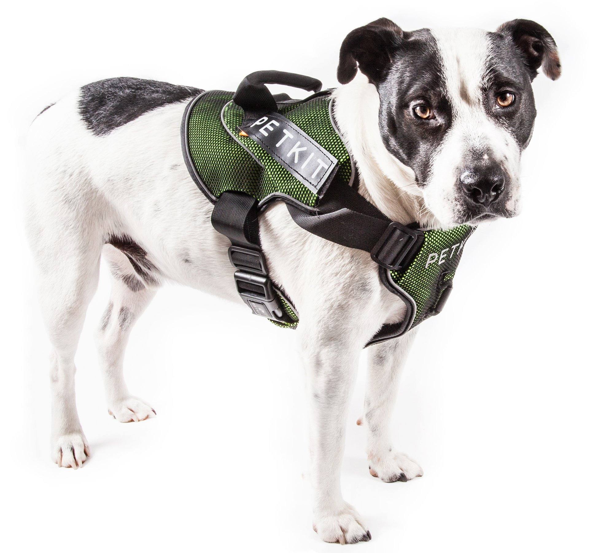 PETKIT ® 'AIR' Quad-Connecting Cushioned Chest Compression and Reflective Breathable Premium Safety Mesh Pet Dog Harness  