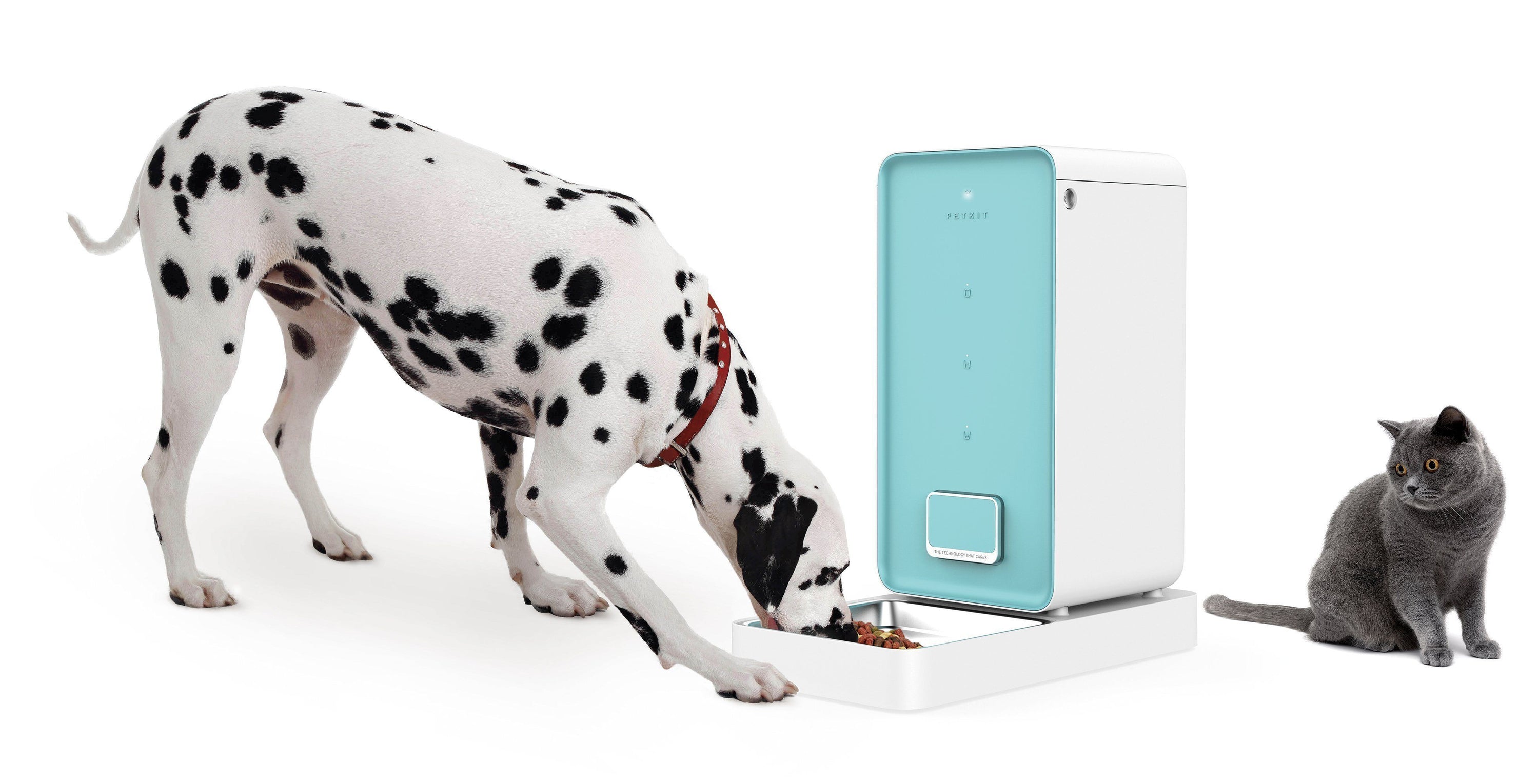 PETKIT ® 'Element' Wi-Fi Enabled Smart Pet Food Container Feeder  