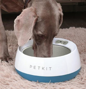 Smart dog bowl deals