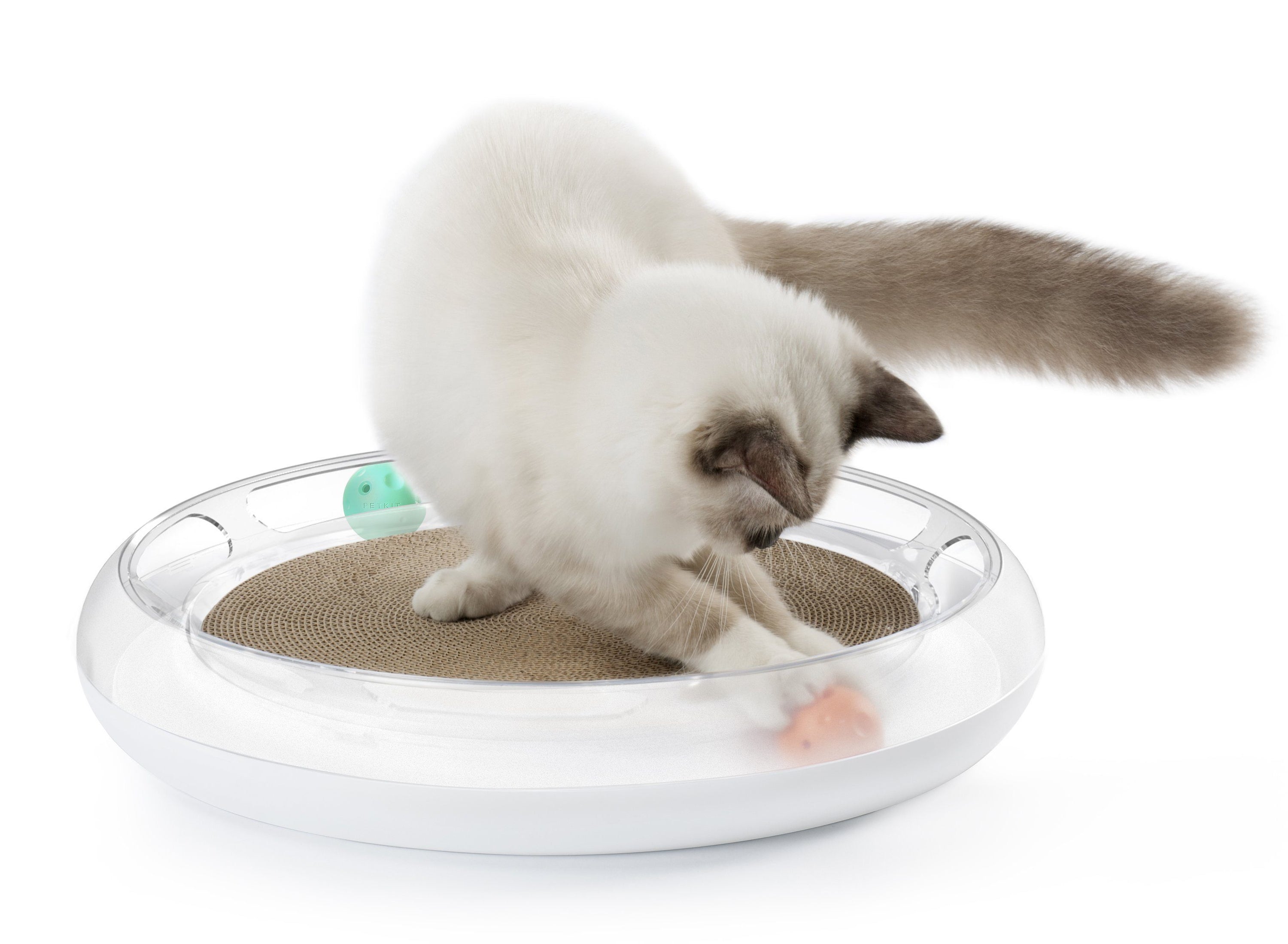 PETKIT ® 'Swipe' Interactive Cat Scratcher And Chaser Lounger Toy  