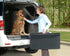 Petsafe Happy Ride Folding Pet Ramp - Black - 62 X 16 In  